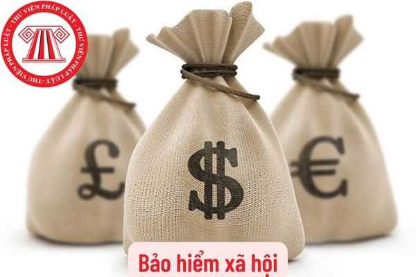 Bảo hiểm xã hội