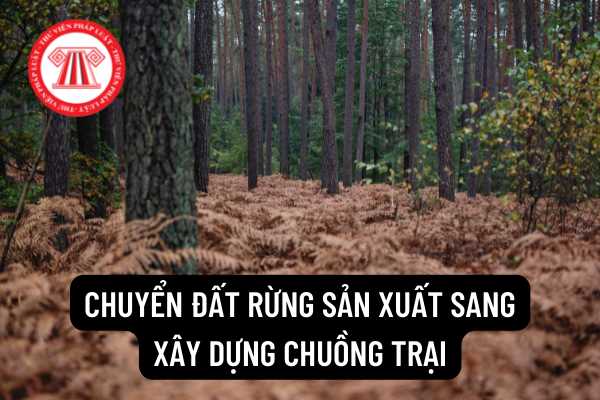 Chuyển từ đất trồng rừng sản xuất sang xây dựng chuồng trại thì có phải xin phép Ủy ban nhân dân xã không?