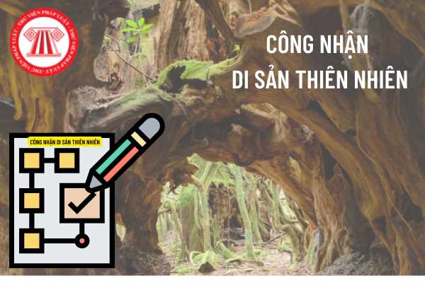 Di sản thiên nhiên được công nhân dựa trên những tiêu chí nào? 