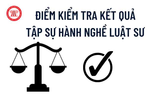 Tập sự hành nghề luật sư