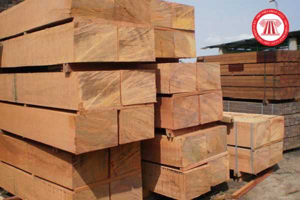 Xuất khẩu gỗ quý hiếm ra nước ngoài doanh nghiệp bị xử phạt như thế nào? 