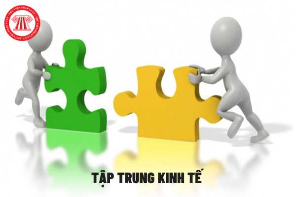 Tập trung kinh tế được hiểu như thế nào?