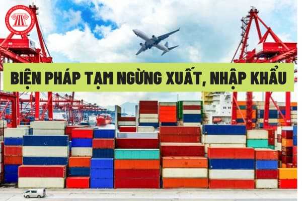 Biện pháp tạm ngừng xuất, nhập khẩu là gì?