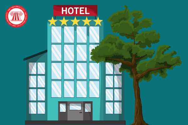 Điều kiện kinh doanh khách sạn cần tuân thủ những yêu cầu gì? Kinh doanh khách sạn cần đảm bảo tối thiểu về cơ sở vật chất kỹ thuật, dịch vụ thế nào?