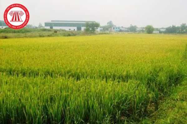 Thẩm quyền thu tiền bảo vệ và phát triển đất trồng lúa là của cơ quan nào? Mức thu tiền bảo vệ và phát triển đất trồng lúa là bao nhiêu?