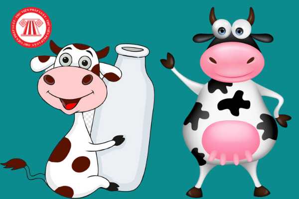 Khi nào đoàn kiểm tra chất lượng sẽ thực hiện lấy mẫu sữa bò tại cơ sở vắt sữa để kiểm tra chất lượng sản phẩm?
