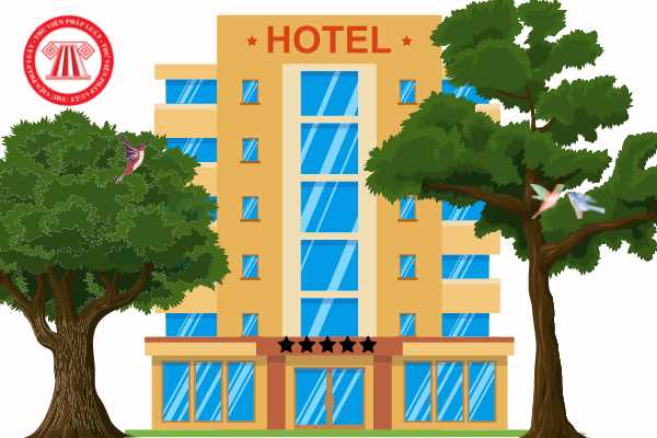 Kinh doanh khách sạn 5 sao cần đáp ứng những yêu cầu gì để đúng với Tiêu chuẩn? Ai có thẩm quyền công nhận khách sạn đạt chuẩn 5 sao?