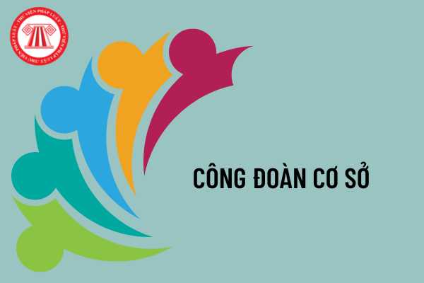 Điều lệ công đoàn Việt Nam quy định về tiêu chuẩn của ứng viên ứng cử vị trí Ban chấp hành công đoàn cơ sở như thế nào?