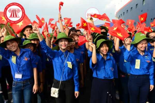 Đoàn Thanh niên Cộng Sản Hồ Chí Minh được thành lập, tổ chức trong các trường đại học, cao đẳng như thế nào?