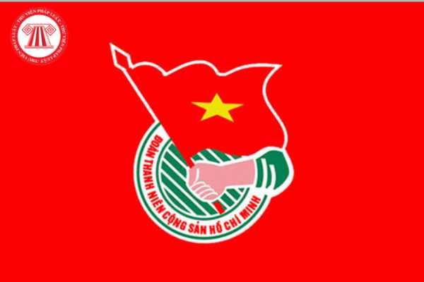 Trong Quân đội nhân dân Việt Nam có thực hiện tổ chức Đoàn Thanh niên Cộng sản Hồ Chí Minh hay không?