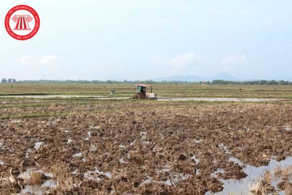 Cơ quan có thẩm quyền có được phép thu hồi đất nông nghiệp trồng lúa của dân vào quỹ đất công ích hay không?