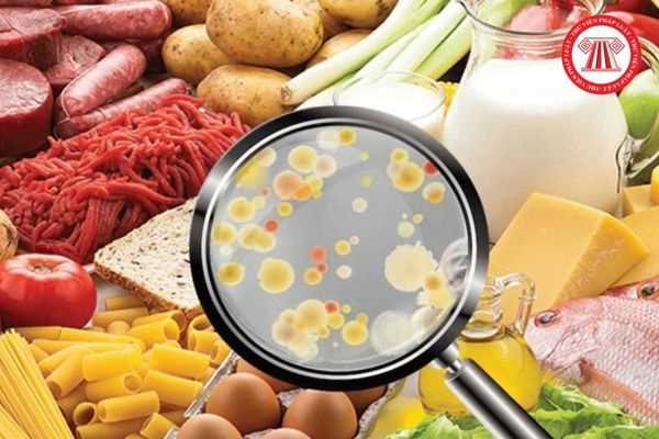 Nguy cơ của vi sinh vật trong thực phẩm được phân cấp như thế nào? Thiết kế phòng thử nghiệm để phát hiện vi sinh nguy cơ các cấp thế nào?