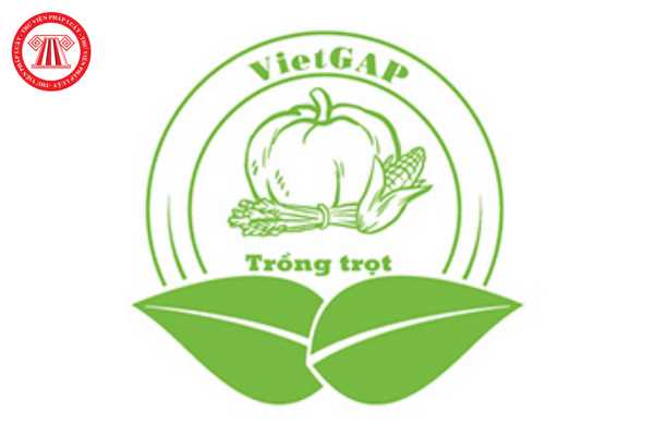 Chứng nhận VietGAP được pháp luật quy định như thế nào? Điều kiện để được cấp giấy chứng nhận VietGAP như thế nào?