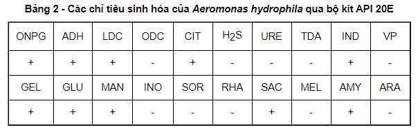 Các chỉ tiêu sinh hóa của Aeromonas hydrophila qua bộ kít API 20E