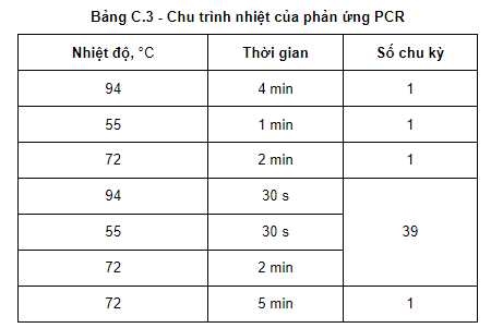 Chu trình nhiệt của phản ứng PCR