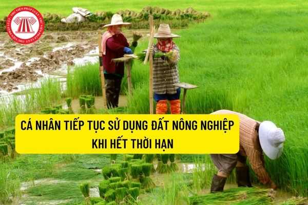 Sử dụng đất nông nghiệp