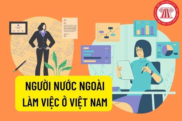 Người lao động nước ngoài làm việc ở Việt Nam
