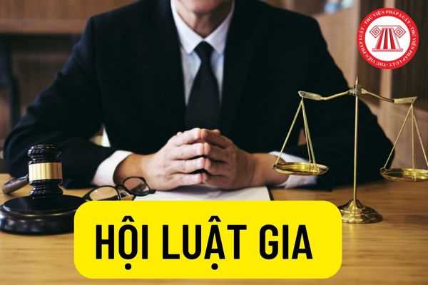 Hội luật gia