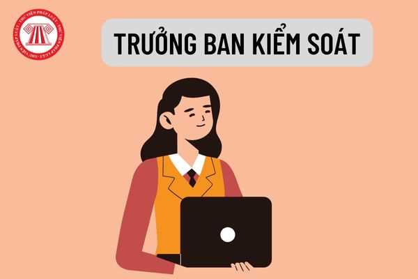 Trưởng Ban kiểm soát