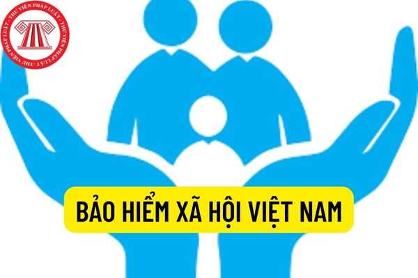 What is the English name for Bảo hiểm xã hội Việt Nam?
