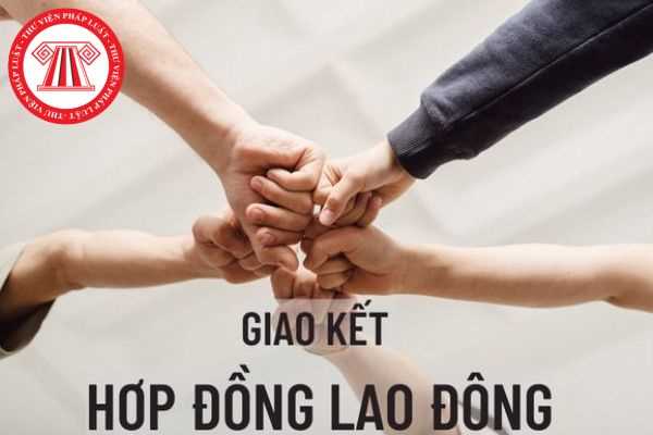 hợp đồng lao động