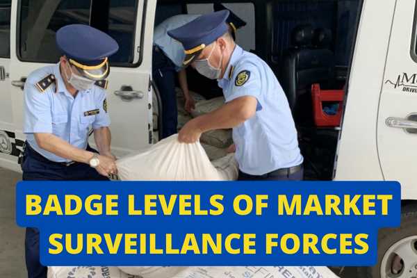 Badge of market surveillance? Current badge levels of market surveillance forces?
