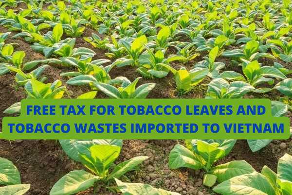 Are unprocessed tobacco leaves and tobacco wastes grown in Cambodia imported to Vietnam tax-free?