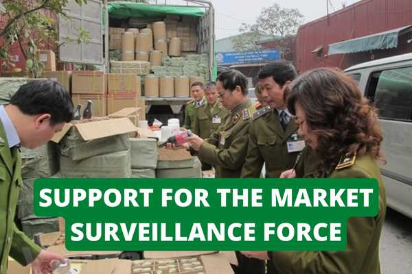 Support for the market surveillance force for specialized inspection and examination?