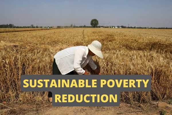 Sustainable Poverty Reduction