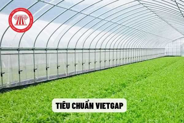 Tiêu chuẩn VietGAP