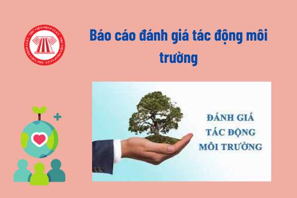 Việc thẩm định báo cáo đánh giá tác động môi trường được thực hiện thế nào? 