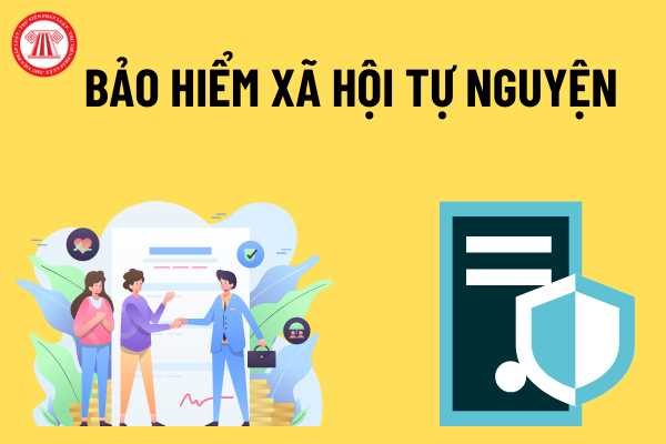 Xác định mức đóng bảo hiểm xã hội tự nguyện hàng tháng, có thể đóng bảo hiểm xã hội tự nguyện gộp 1 năm/lần không?