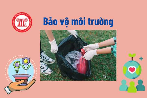 Những hành vi nào bị nghiêm cấm trong hoạt động bảo vệ môi trường ...