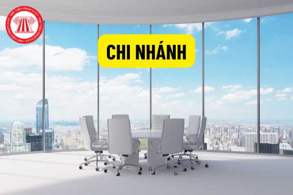 Chi nhánh của doanh nghiệp nước ngoài có bắt buộc phải có kế toán trưởng không?