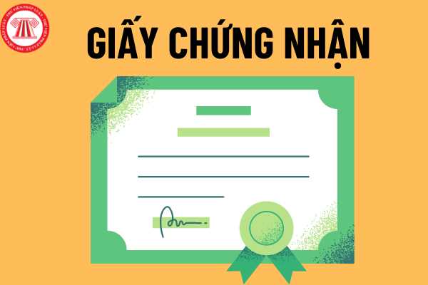 Nhà, công trình xây dựng chưa được cấp giấy chứng nhận đăng ký quyền sở hữu có quyền kinh doanh không? 