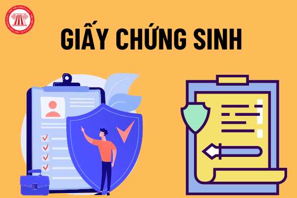 Một lần khám được cấp mấy giấy chứng nhận nghỉ dưỡng thai? Trạm y tế cấp xã có quyền cấp lại giấy chứng sinh không? 