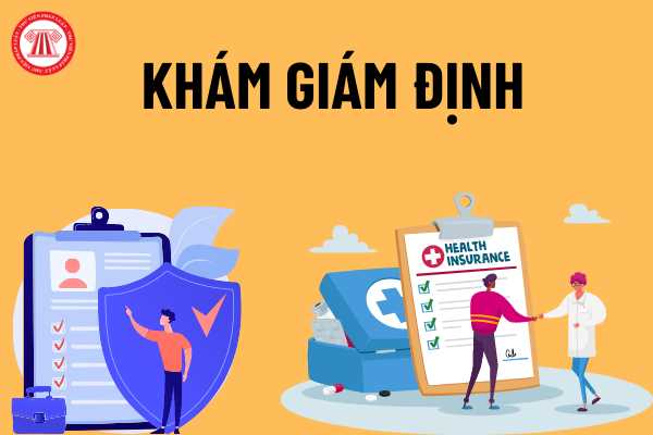 Hồ sơ khám giám định lần đầu để thực hiện chế độ hưu trí đối với người lao động bao gồm những gì?