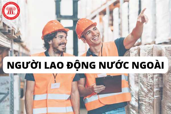 Người nước ngoài muốn xin giấy phép lao động để dạy học tại Việt Nam thì hồ sơ cần những giấy tờ gì?