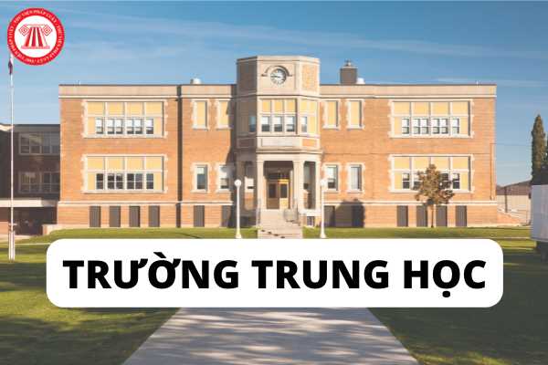 Hệ thống trường trung học được quy định như thế nào?