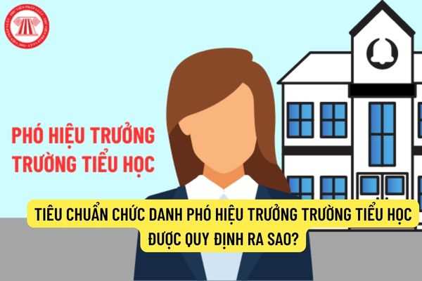 Tiêu chuẩn chức danh Phó hiệu trưởng trường tiểu học được quy định ra sao?