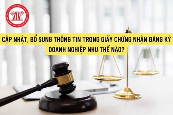 Cập nhật, bổ sung thông tin trong Giấy chứng nhận đăng ký doanh nghiệp như thế nào? Thủ tục thay đổi thông tin người đại diện theo pháp luật của công ty ra sao?