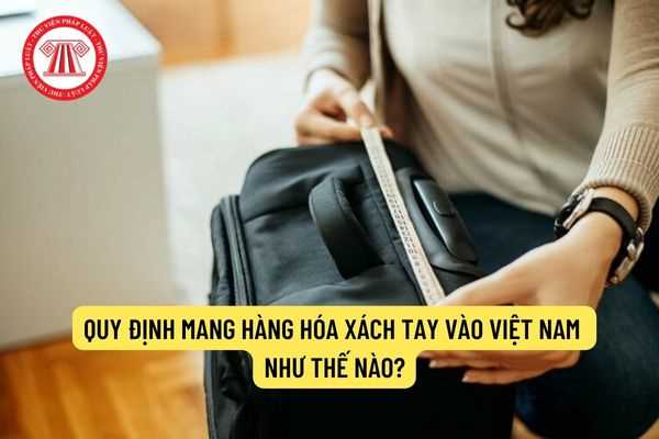 Quy định Mang Hàng Hóa Xách Tay Vào Việt Nam Như Thế Nào Hàng Hóa Xách