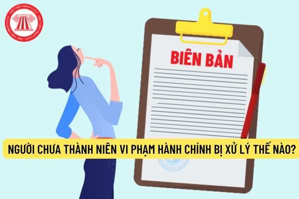 Người chưa thành niên vi phạm hành chính bị xử lý thế nào?