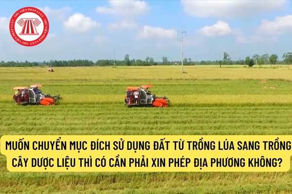 Muốn chuyển mục đích sử dụng đất từ trồng lúa sang trồng cây dược liệu thì có cần phải xin phép địa phương không? 