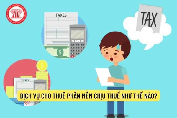 Dịch vụ cho thuê phần mềm chịu thuế như thế nào?