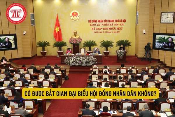 Có được bắt giam đại biểu Hội đồng nhân dân không?