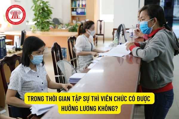 Trong thời gian tập sự thì viên chức có được hưởng lương không?