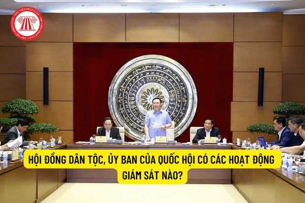 Hội đồng dân tộc, Ủy ban của Quốc hội có các hoạt động giám sát nào?