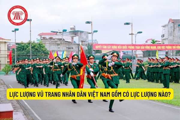 Lực lượng vũ trang nhân dân Việt Nam gồm có lực lượng nào?