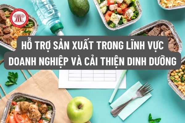 Hỗ trợ sản xuất trong lĩnh vực doanh nghiệp và cải thiện dinh dưỡng cho các đối tượng trong chương trình mục tiêu quốc gia giảm nghèo bền vững giai đoạn 2021-2025?